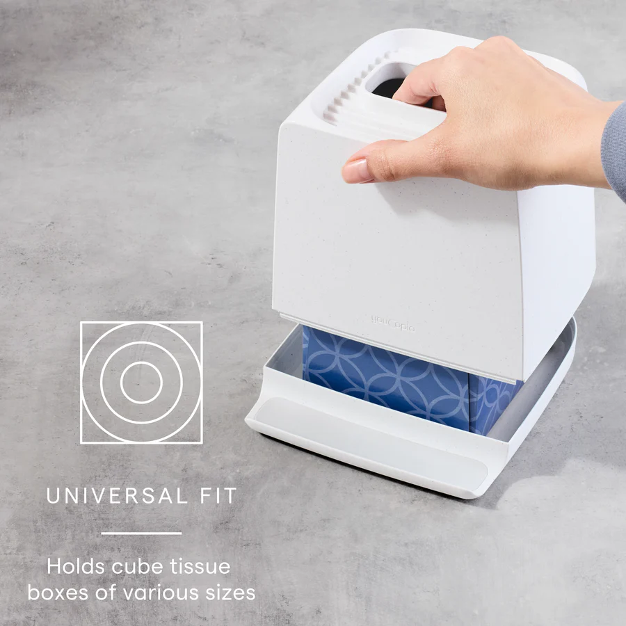 Tissue Holder, Cube